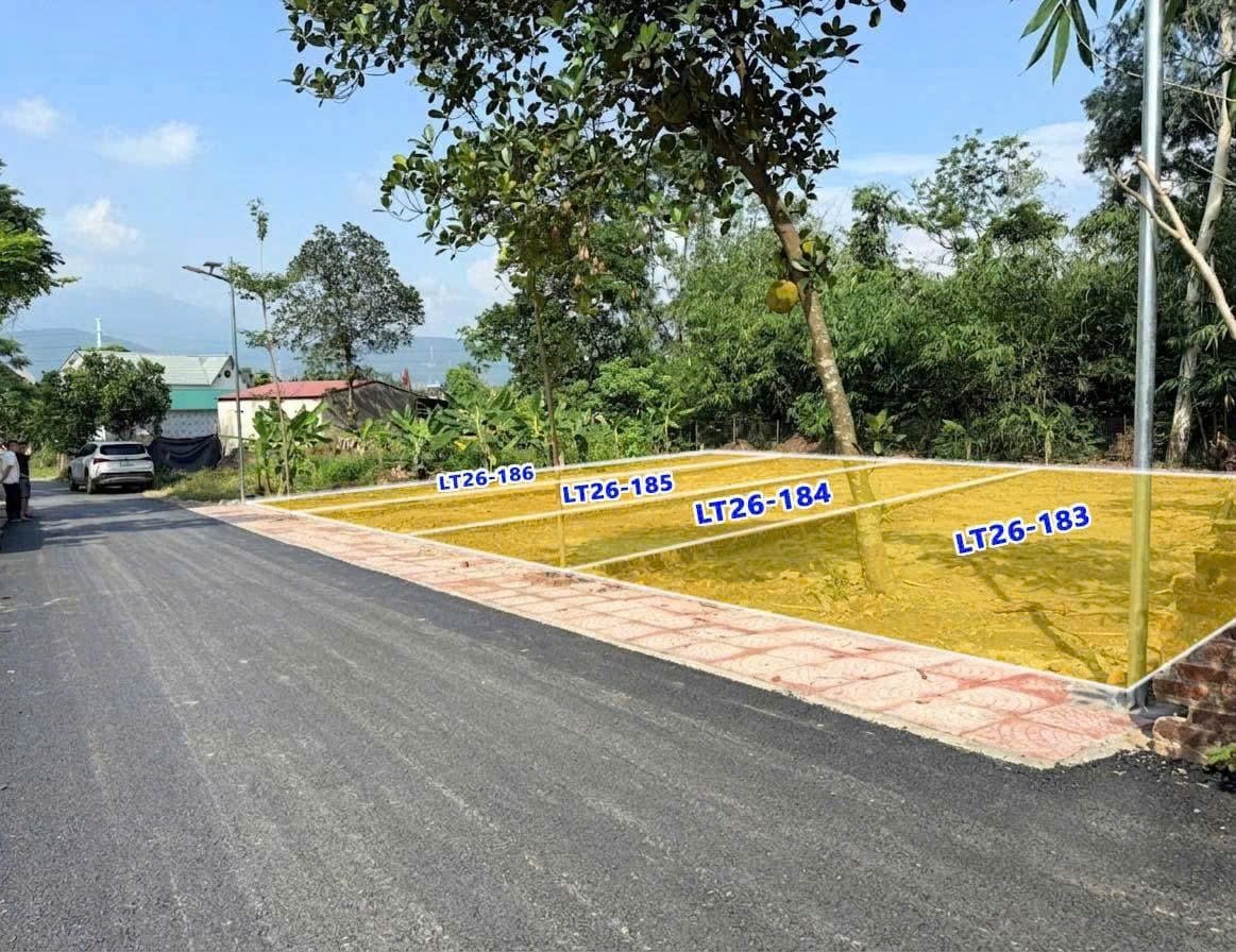 04 lô F0 tại trục chính Đồng Ăng - Kim Long Tam Dương chỉ 1.050 tỷ/lô