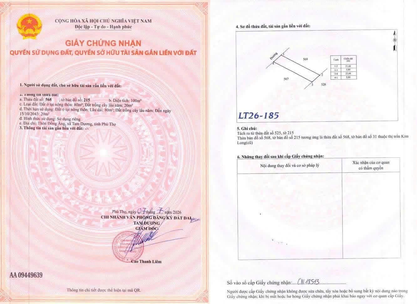 980tr/lô F0 tại trục chính Đồng Ăng - Kim Long Tam Dương  — ảnh 5